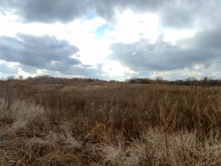 Продается нежилое помещение на первой линии фото 7 Саратов