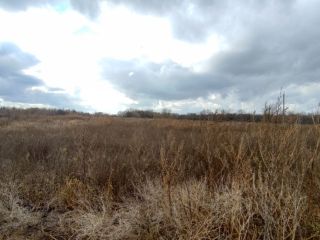 Продается нежилое помещение на первой линии фото 8 Саратов