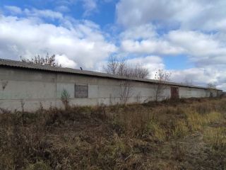 Продается нежилое помещение на первой линии фото 12 Саратов