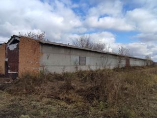 Продается нежилое помещение на первой линии фото 16 Саратов