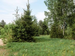 Продается участок земли асфальтная дорога с коммуникациями фото Кингисепп