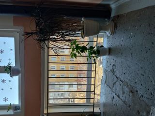 Продаю двушку косметический ремонт с мебелью пластиковые окна фото 15 Красноярск