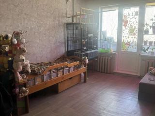 Продам трешку фото 4 Пушкино