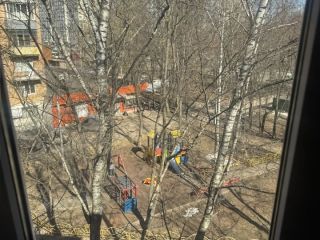 Продам трешку фото 14 Пушкино