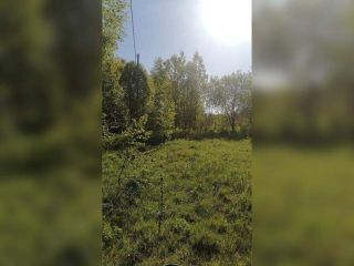 Продается зем участок фото Сергиев Посад