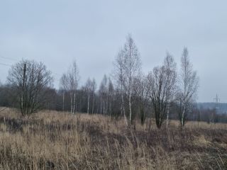 Продается зем участок есть электричество фото Щёкино