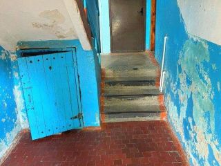 Продам трешку фото 6 Краснодар