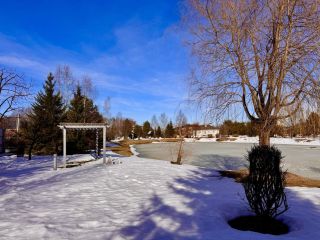 Продаю участок земли есть баня фото 2 Истра