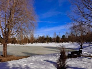 Продаю участок земли есть баня фото 3 Истра