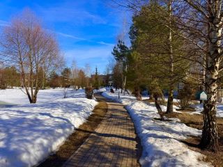 Продаю участок земли есть баня фото 4 Истра