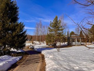 Продаю участок земли есть баня фото 5 Истра