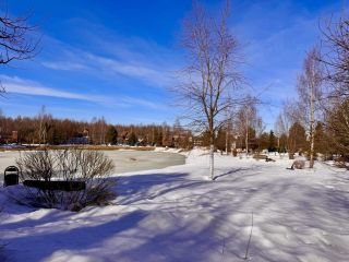 Продаю участок земли есть баня фото 6 Истра