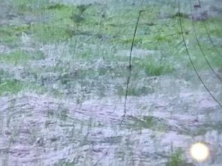 Продаю земельный участок асфальтная дорога на первой линии фото 3 Раменское