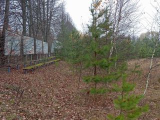 Продается нежилое помещение с коммуникациями подключена канализация фото 11 Ступино