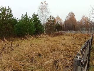 Продается нежилое помещение с коммуникациями подключена канализация фото 28 Ступино