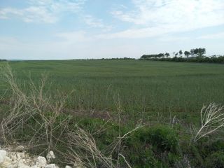 Продам зем участок фото Самара