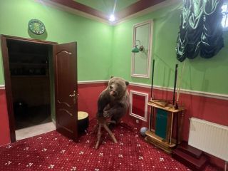 Продается коттедж с мебелью имеется баня фото 23 Красногорск