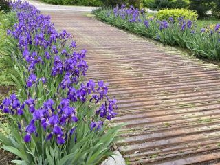 Продам кирпичный коттедж имеется баня с мебелью фото 21 Раменское