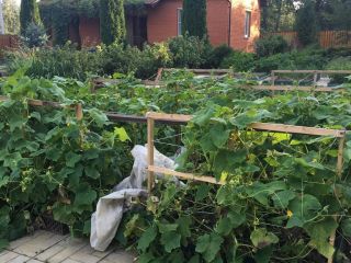 Продам кирпичный коттедж имеется баня с мебелью фото 22 Раменское