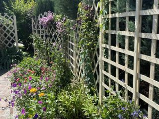 Продам кирпичный коттедж имеется баня с мебелью фото 24 Раменское