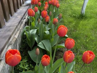 Продам кирпичный коттедж имеется баня с мебелью фото 25 Раменское