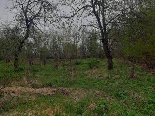 Продам дом фото 13 Калуга