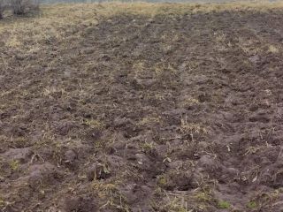 Продаю участок земли под индивидуальное жилищное строительство документы готовы фото 3 Дмитров