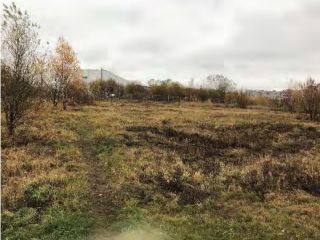 Продается зем участок удобный подъезд фото 4 Санкт-Петербург