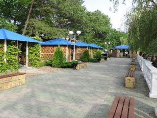 Продаю нежилое помещение фото 4 Изобильный