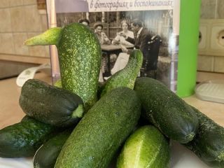 Продается кирпичный коттедж есть баня своя скважина фото Раменское