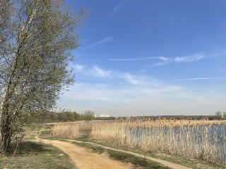 Продам блочный дом под индивидуальное жилищное строительство рядом асфальт фото 15 Балашиха