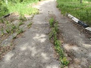 Продается нежилое помещение есть электричество фото 5 Красногорск