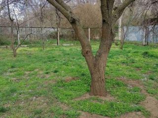 Продается четырехкомнатная квартира фото 8 Элиста