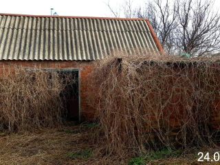 Продаю кирпичный дом фото 4 Гулькевичи