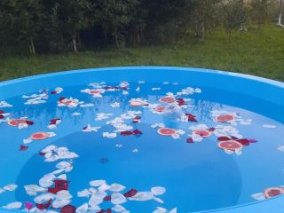 Продам дом асфальтная дорога своя скважина фото 14 Домодедово