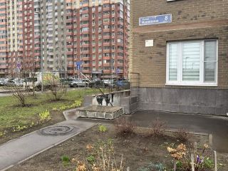 Продается 2 комнатная квартира с мебелью фото 8 Люберцы