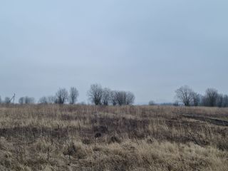 Продаю участок земли есть электричество фото 3 Щёкино