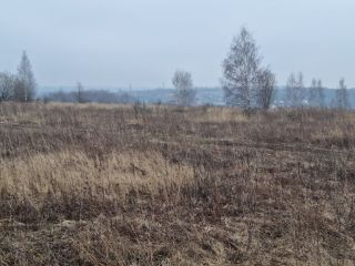 Продаю участок земли есть электричество фото 5 Щёкино