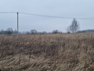 Продаю участок земли есть электричество фото 15 Щёкино