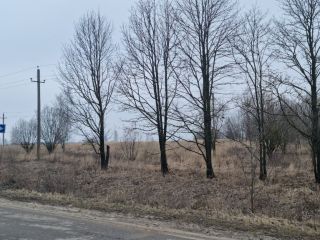 Продаю участок земли есть электричество фото 3 Щёкино