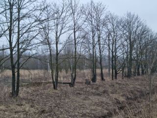 Продаю участок земли есть электричество фото 5 Щёкино