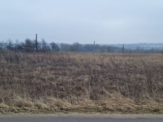 Продаю участок земли есть электричество фото 17 Щёкино