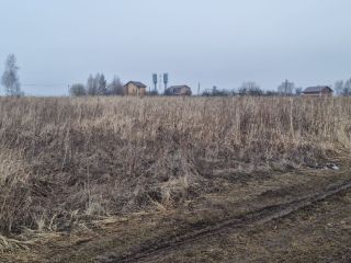 Продаю участок земли есть электричество фото 18 Щёкино