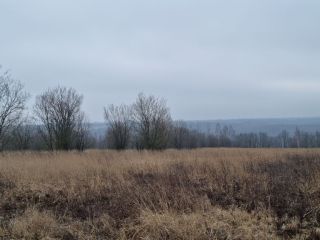 Продаю участок земли есть электричество фото 19 Щёкино