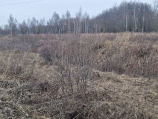 Продаю участок земли есть электричество фото 22 Щёкино