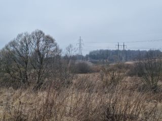 Продается участок земли есть электричество фото 4 Щёкино