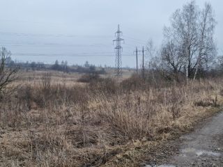 Продается участок земли есть электричество фото 6 Щёкино