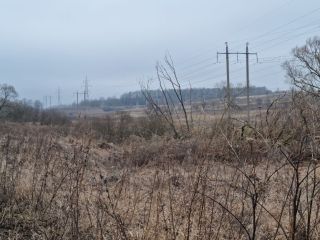 Продается участок земли есть электричество фото 12 Щёкино