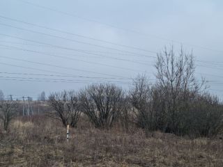 Продается участок земли есть электричество фото 17 Щёкино