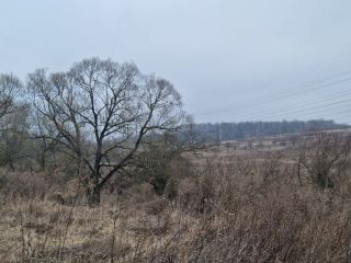 Продается участок земли есть электричество фото 20 Щёкино